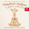 Pohádkové meditace a jógové pohádky (Nešpor, Fischerová - Bebarová Tereza, Matásek David) - CD (MP3)