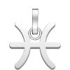 Prívesok ROSEFIELD PE-SILVER-PISCES Rosefield PE-Silver-Pisces-