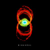 Pearl Jam - Binaural - CD /digipack malý/