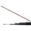 CARP EXPERT EVOLUTION POWER POLE BIČ