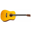 TANGLEWOOD TW40DANE