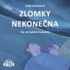 Zlomky nekonečna