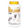 Orling Gelacan Plus Profi 1000g