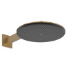 Hansgrohe Raindance Alive S Hlavová sprcha, priemer 30 cm, 2 prúdy, EcoSmart, kefovaný bronz 24541140-HG