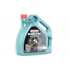 CASTROL Magnatec, Stop-Start E Motorový olej 5W-20, 4l, Plno synteticky olej