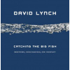Catching the Big Fish