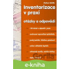 E-kniha Inventarizace v praxi - Vladimír Schiffer