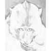 ZUTY Bodkovanie - FAREBNÁ OPICA Rámovanie: vypnuté plátno na rám, Rozmer: 40x50 cm