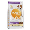 Iams Dog Puppy Small&Medium Chicken 3kg