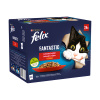 Felix Fantastic kura hovädzie králik jahňacie v želé 24 x 85 g