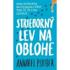 Strieborný lev na oblohe - Annabel Pitcher