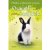 Příběhy se šťastným koncem Osamělý králíček - Jill Hucklesby