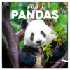 NOTIQUE Grid calendar Pandas 2027, 30 x 30 cm