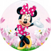 CUKROVÁ TLAČ jedlý obrázok na tortu Cukrová hmota MYŠKA MINNIE MIKI MOUSE #1