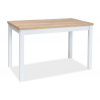 Casarredo Jedálenský stôl ADAM 100x60 dub zlatý craft / biela mat