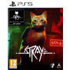 Stray