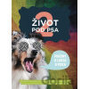 Život pod psa 2 - Concept 42