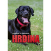 Hrdina (1)