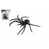 Pavúk čierny 5ks plast 10x5cm v sáčku