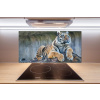 Sklenený panel do kuchyne Tiger 100x50 cm