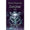 Seqoy s.r.o. Kniha Zaklínač VII: Paní jezera CZ
