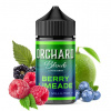 Five Pawns Orchard Berry Limeade S&V 10ml