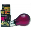 Zoomed Nightlight Red Reptile Bulb 40 W