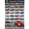 Plagát, Obraz - Ford Mustang Evolution, 61 × 91.5 cm
