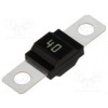 Poistka tavná automobilová 40A 32VDC 40mm skrutka M5 meď