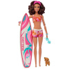 Barbie Surferka s doplnkami