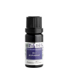 Nobilis Tilia Éterický olej bio Levanduľa 10 ml