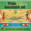 Prales kouzelných snů - Ladislav Mikeš Pařízek - online doručenie