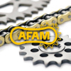 AFAM CHAIN KIT STEEL R1