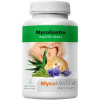 MycoMedica MycoGastro sypká zmes na prípravu nápoja 90 g