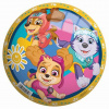 John Paw Patrol Lopta 22 cm