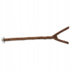 Bird Jewel bidielko dřevěné přírodní 35 cm