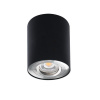 Kanlux 22558 BORD DLP-50-SR/B Prisadené svietidlo