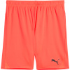 Puma | teamGOAL Shorts | oranžová| L
