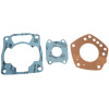 ARTEIN GASKETS K0000HN0K0457 XRADICAL TESNENIA TOP END HONDA FES PANTHEON 125 2T '98-'02