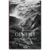 Sebastiao Salgado. Genesis