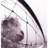PEARL JAM - Vs (LP)