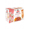 Brit Care Cat Flavour box Fillet in Gravy 12 x 85 g