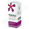 DR. WILLMAR SCHWABE GMBH & CO. KG Kaloba por.gtt.sol.1x50ml