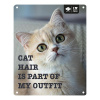 EBI D&D kovová tabuľa: ,,Cat hair is part of my outfit\