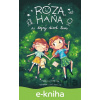 E-kniha Róza, Háňa a tajný život lesa - Tereza Kopecká, Tomáš Kopecký (ilustrátor)