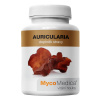 MycoMedica - Auricularia v optimálnej koncentrácii, 90 rastlinných kapsúl