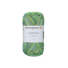 SCM Catania Color