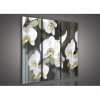 Obraz na plátne viacdielny - OB3291 - Biela orchidea 90cm x 80cm - S6