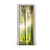 Fototapeta na dvere slnka v lese 75x205