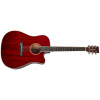 TANGLEWOOD TW5CE R